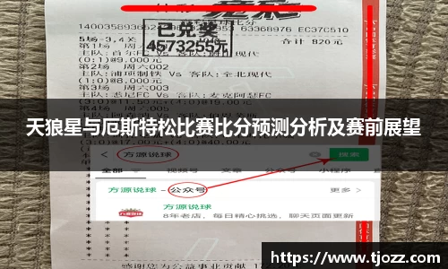 天狼星与厄斯特松比赛比分预测分析及赛前展望